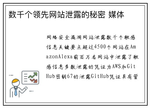 数千个领先网站泄露的秘密 媒体