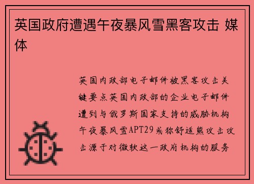 英国政府遭遇午夜暴风雪黑客攻击 媒体